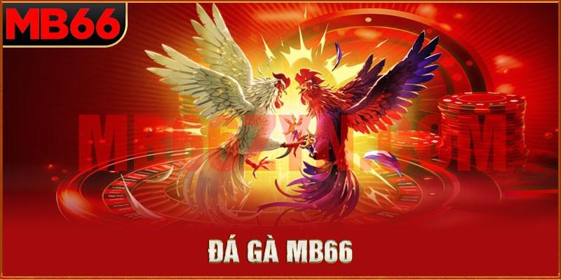 Hướng dẫn chơi game đá gà mb66 online cực đơn giản cho newbie