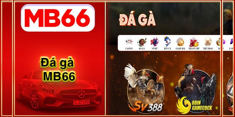 Game Đá Gà mb66 - thông tin chi tiết