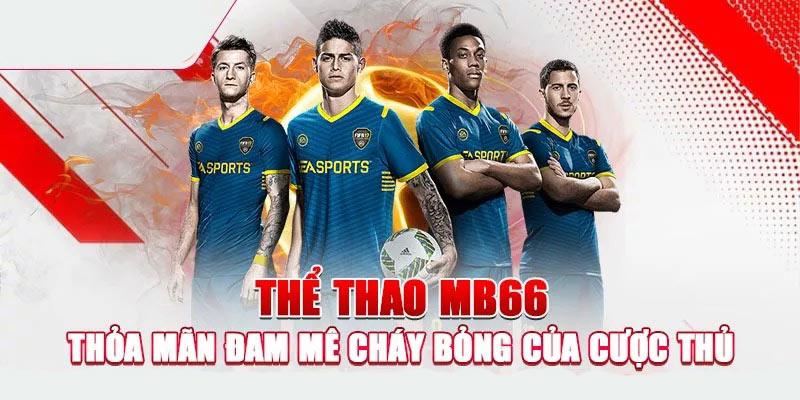 Những loại cá độ thể thao tại mb66